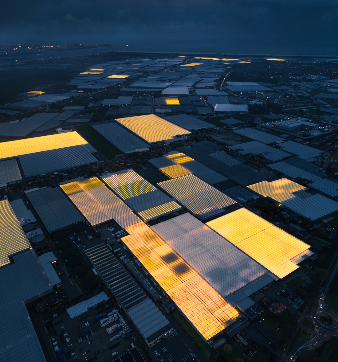 Commercial Growing Solution